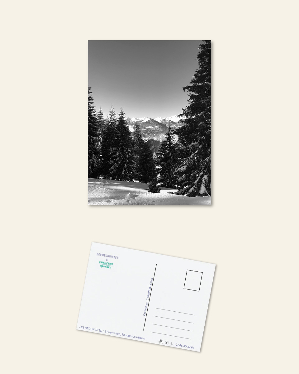 Carte postale "Forêt de sapins"